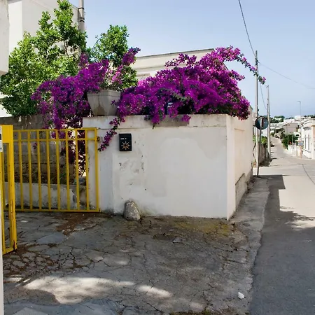 Holiday home Casa La Mimosa *